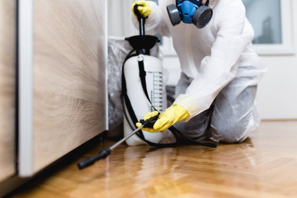 Best Flea Control Services  in Iron River, MI