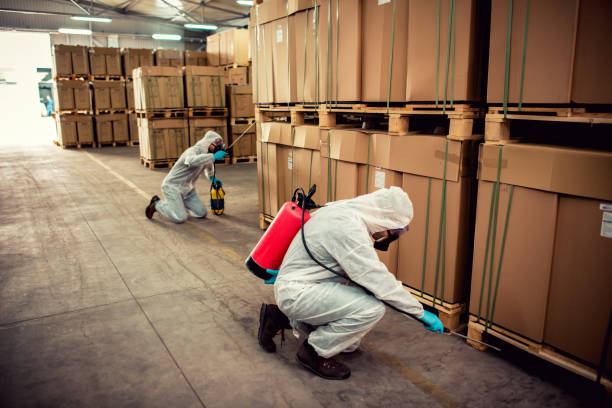 Best Ant Control Services  in Iron River, MI