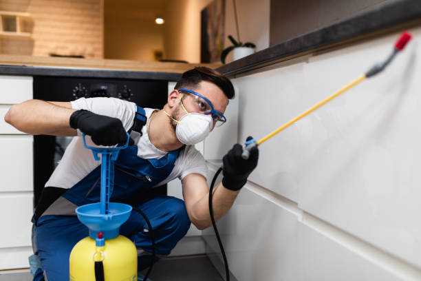 Best Bed Bug Extermination  in Iron River, MI