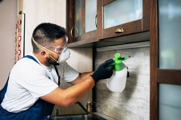 Best Rat Extermination Near Me  in Iron River, MI