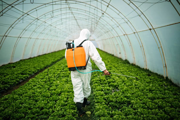 Pest Prevention Services in Iron River, MI