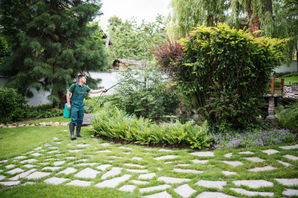 Wasp Removal Services in Iron River, MI