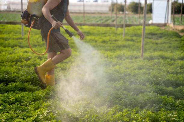 Best Pest Control for Businesses  in Iron River, MI