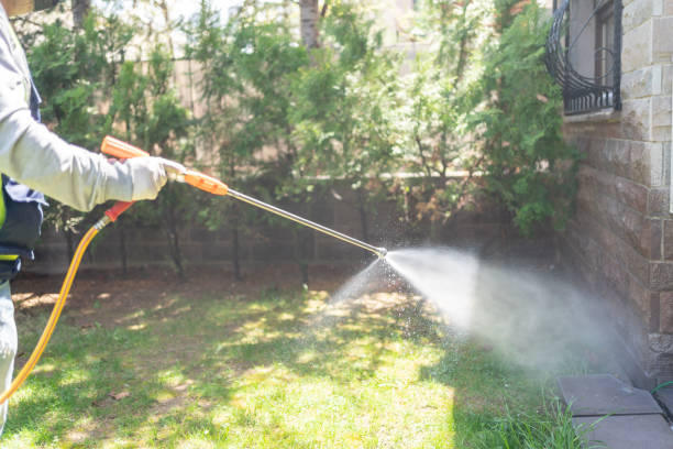 Best Cockroach Control Services  in Iron River, MI