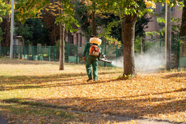 Bird Control in Iron River, MI