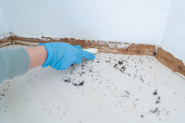Trusted Iron River, MI Pest Control Experts
