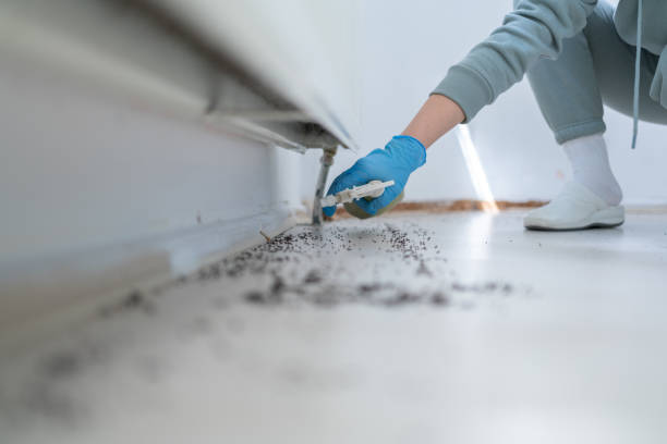 Best Pest Control Near Me  in Iron River, MI