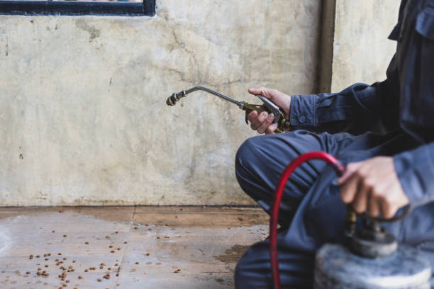 Pest Prevention Services in Iron River, MI